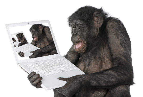 拿着手提电脑的大猩猩图片