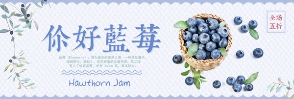 蓝色小清新蓝莓水果美食电商banner淘宝海报