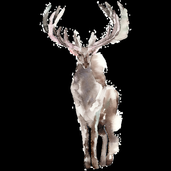 创意麋鹿设计透明素材水彩