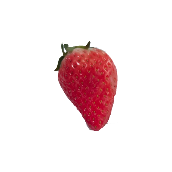 一颗草莓实拍png免抠