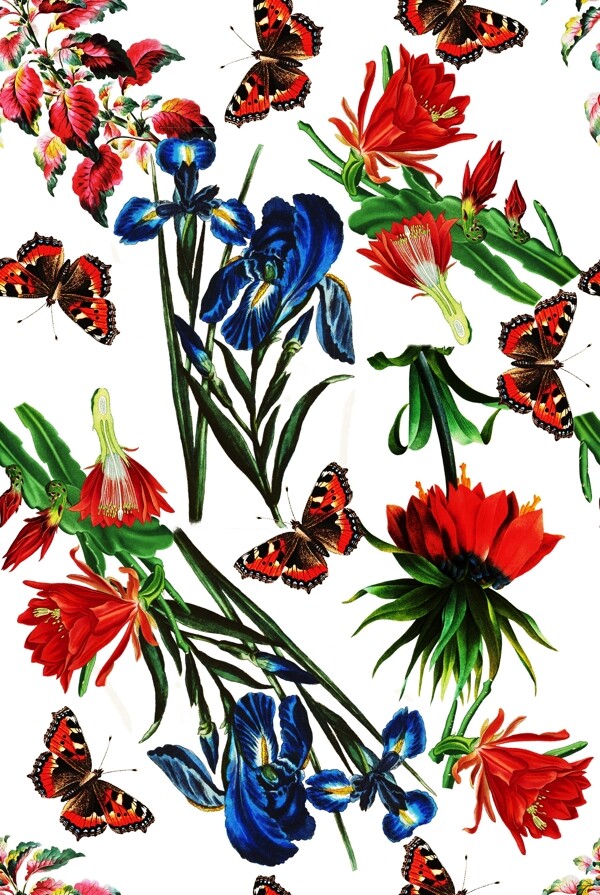 花卉蝴蝶图案