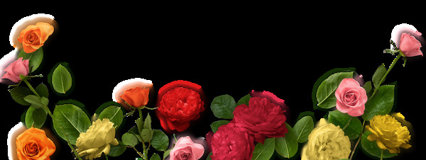 多彩玫瑰花朵png元素素材