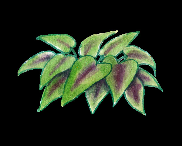 绿色手绘植物卡通透明水彩素材