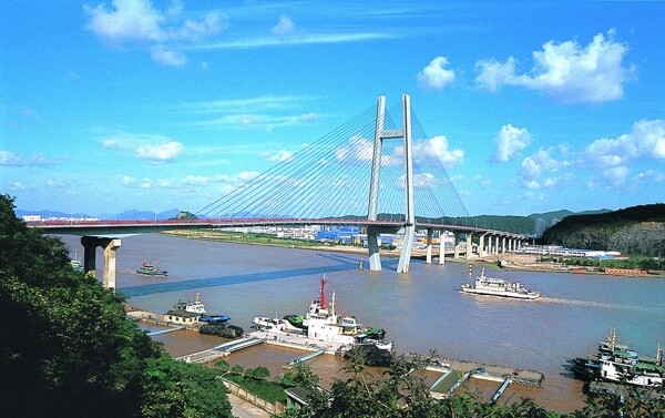 宁波镇海招宝山大桥图片