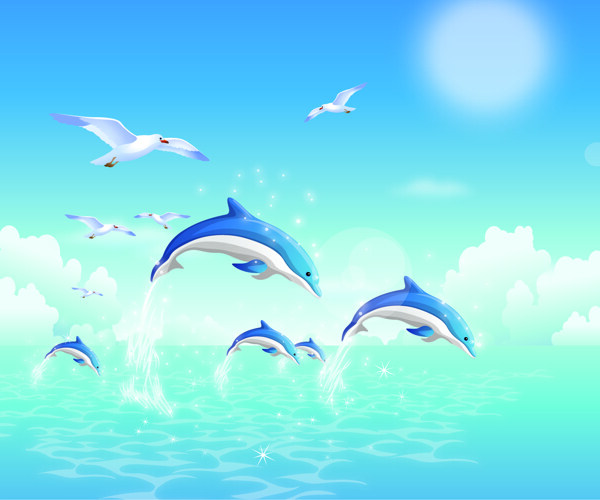 大海海鸥海豚太阳