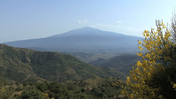西西里岛的埃特纳火山和黄色的花9股的录像视频免费下载