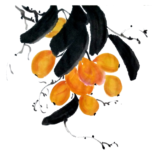 水墨国画金黄枇杷甜蜜鲜果水果PNG