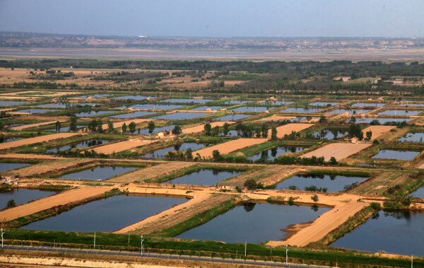陕西合阳黄河湿地图片