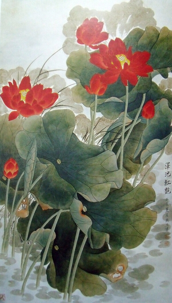 国画荷花图片