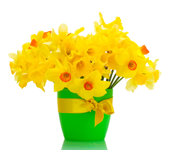 花瓶里的黄色小花