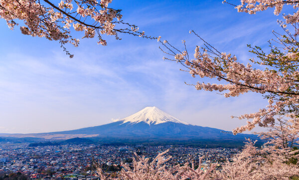 富士山