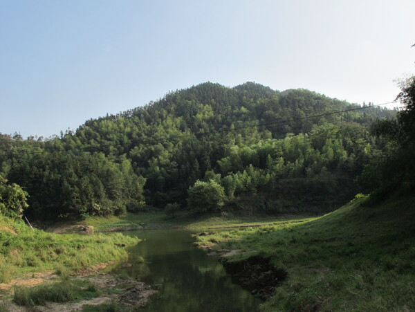 浙江湖州安吉树林蓝天图片