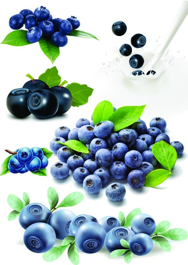 蓝莓一堆蓝莓水果