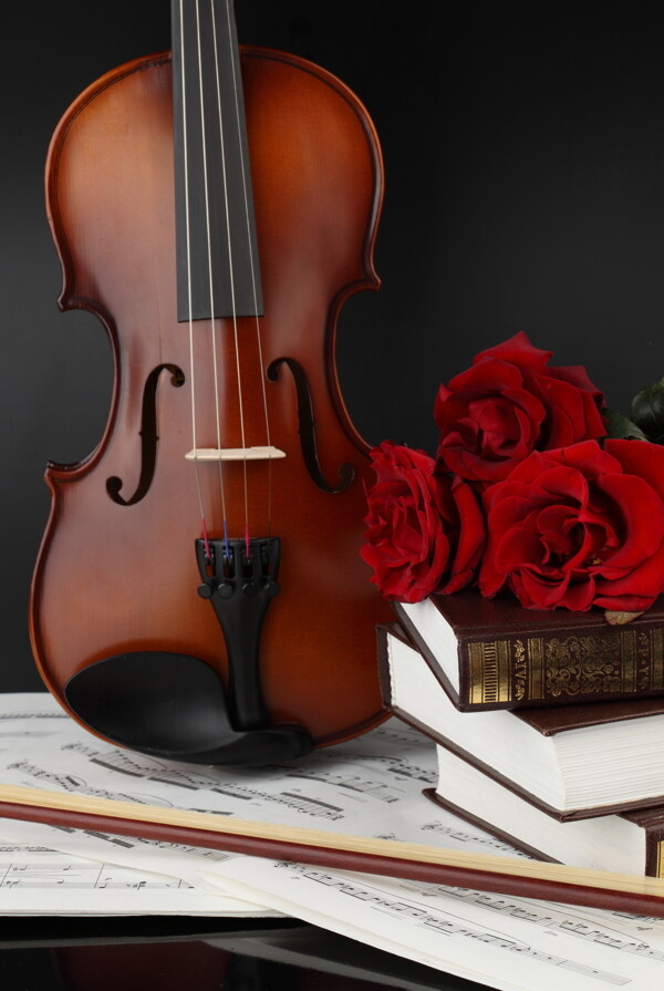 小提琴与玫瑰花图片