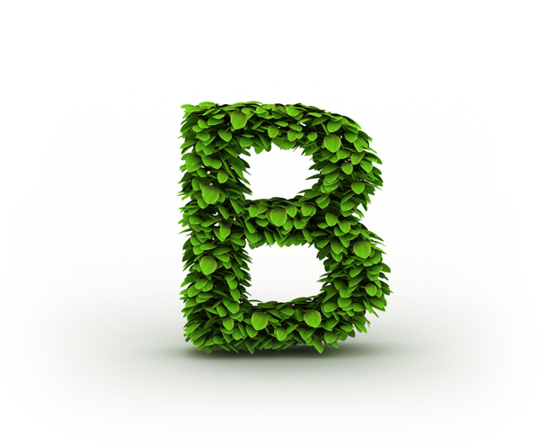 绿叶立体字母B