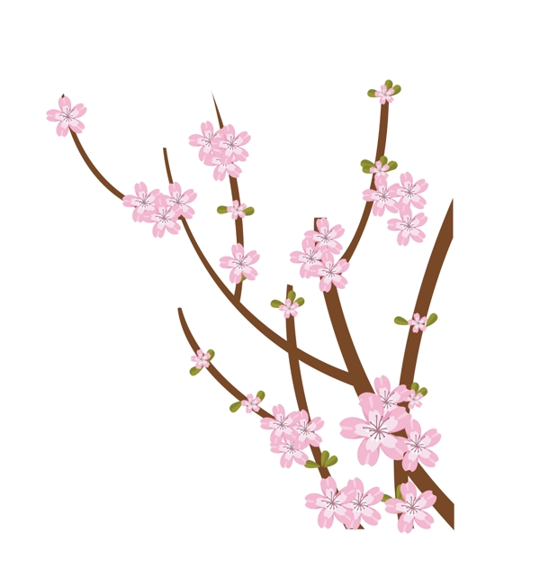 春分樱花装饰插画