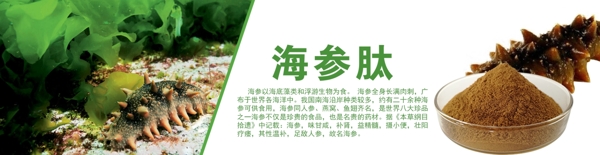 淡雅风格banner淘宝电商海报