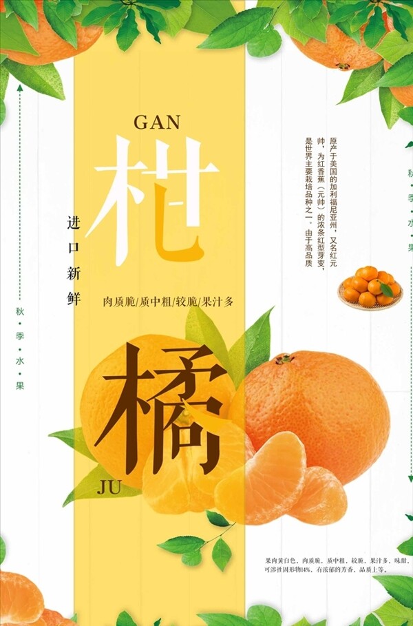 新鲜美味橘子柑橘水果海报