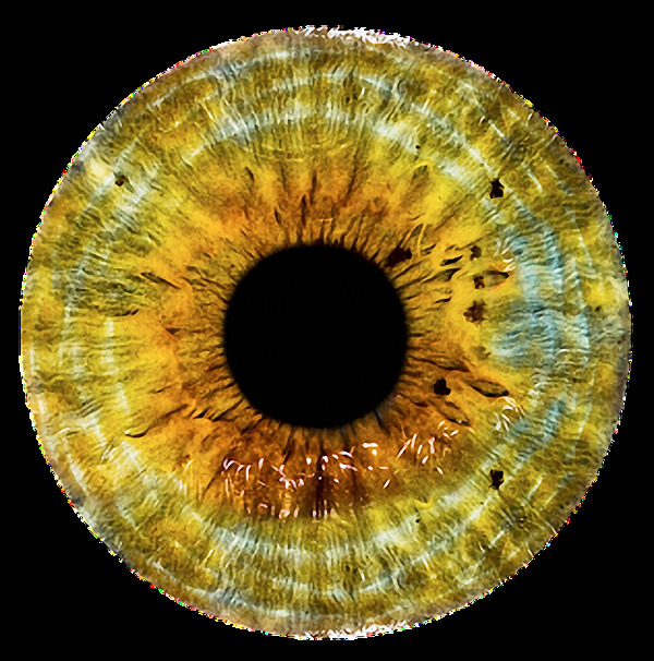 眼睛球瞳孔图片免抠png透明素材