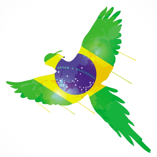鹦鹉与巴西国旗