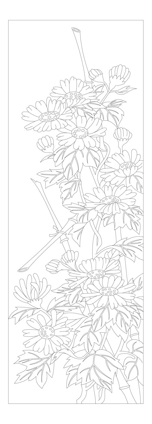梅兰竹菊白描线条菊图片