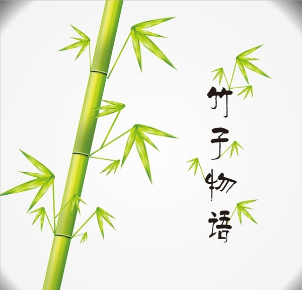 矢量竹子插画图片