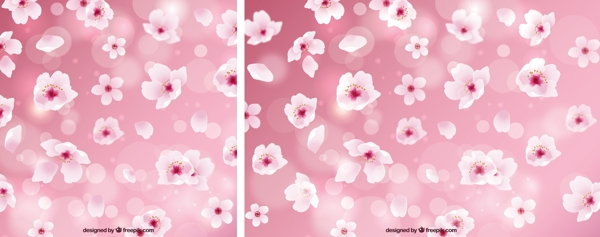 粉红的樱花背景虚化背景