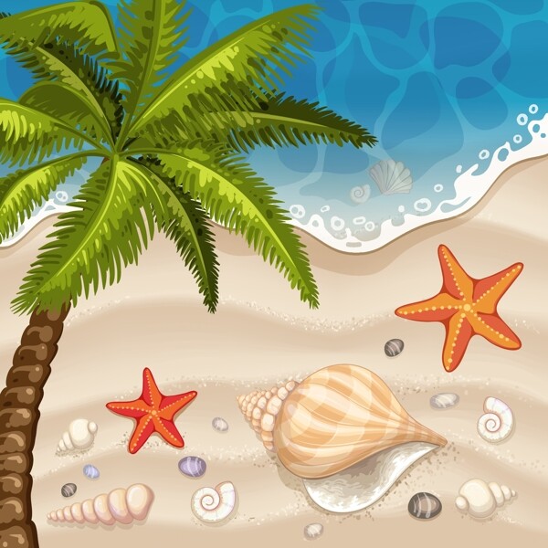 夏天沙滩卡通海星海螺