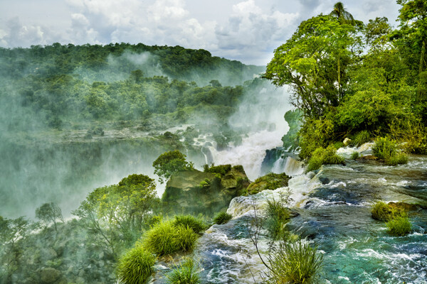 唯美热带雨林景色高清图片