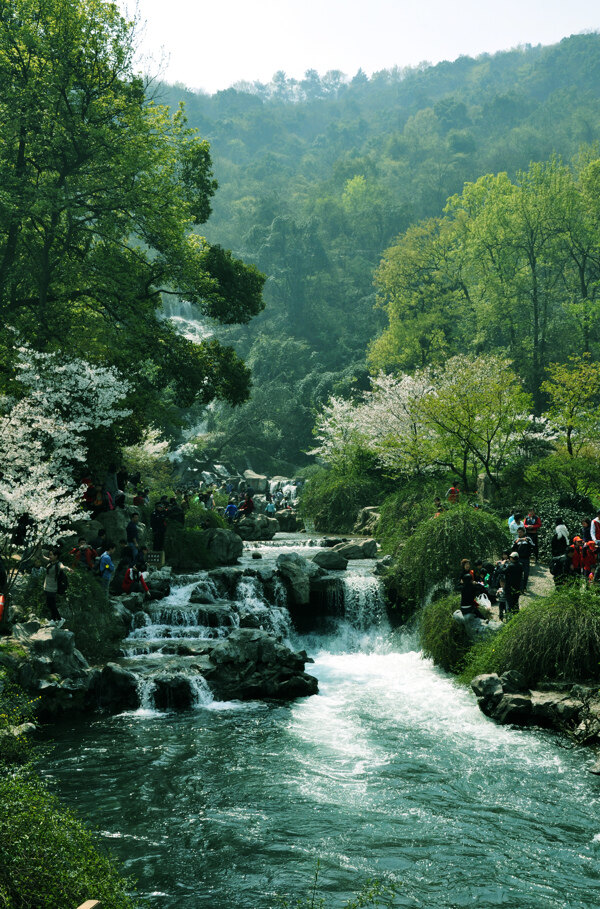 太子湾公园奔流溪水图片