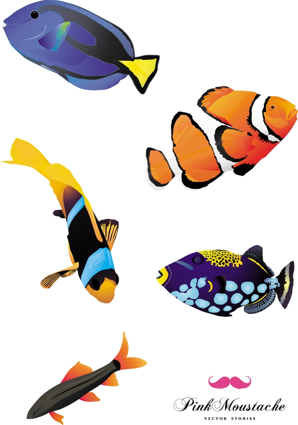 色彩斑斓的海洋鱼类插图
