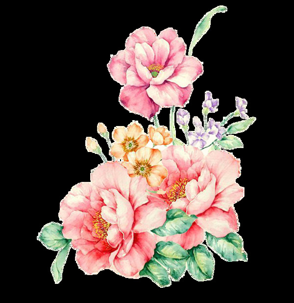 手绘逼真彩色花卉透明装饰素材