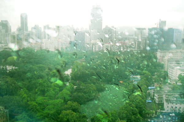 广州雨季雨天窗外图片