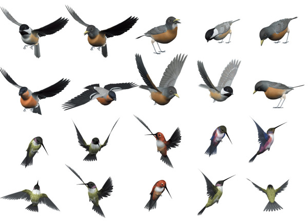 鸟类飞行元素图案