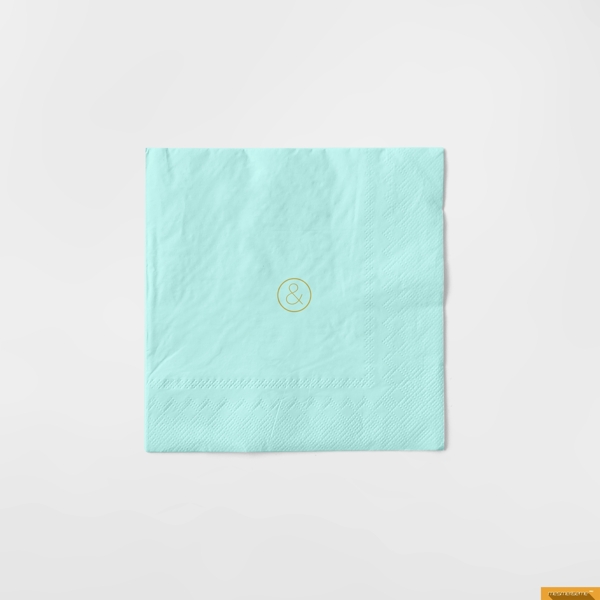 反面带标志的餐巾纸样机