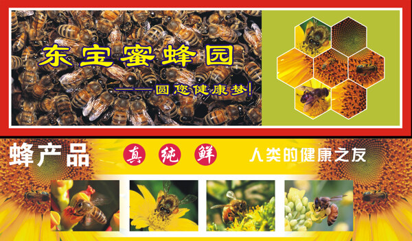 蜂产品广告图片