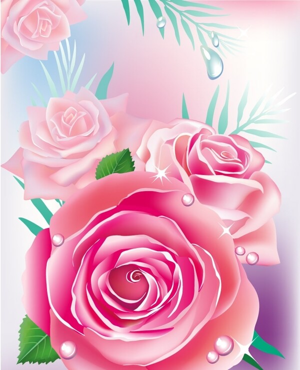 浪漫梦幻花纹花朵玫瑰水珠水滴图片