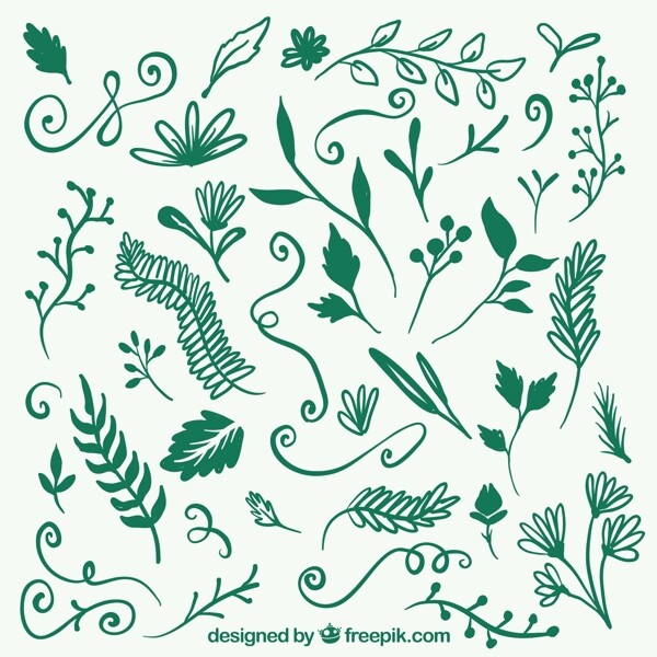手绘绿色植物装饰