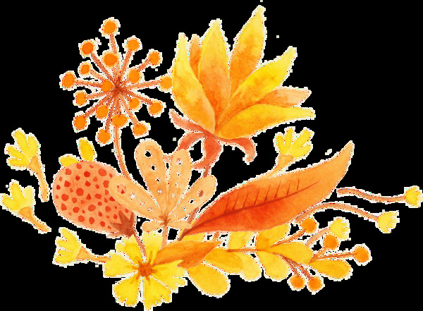 秋日树叶卡通透明素材