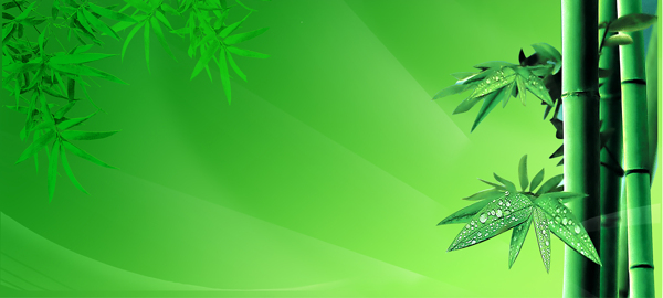 竹子绿色背景