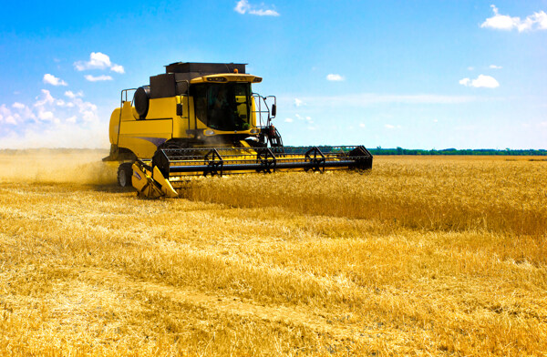 农业收割机丰收小麦