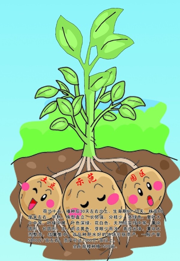 土豆示范园区卡通图片