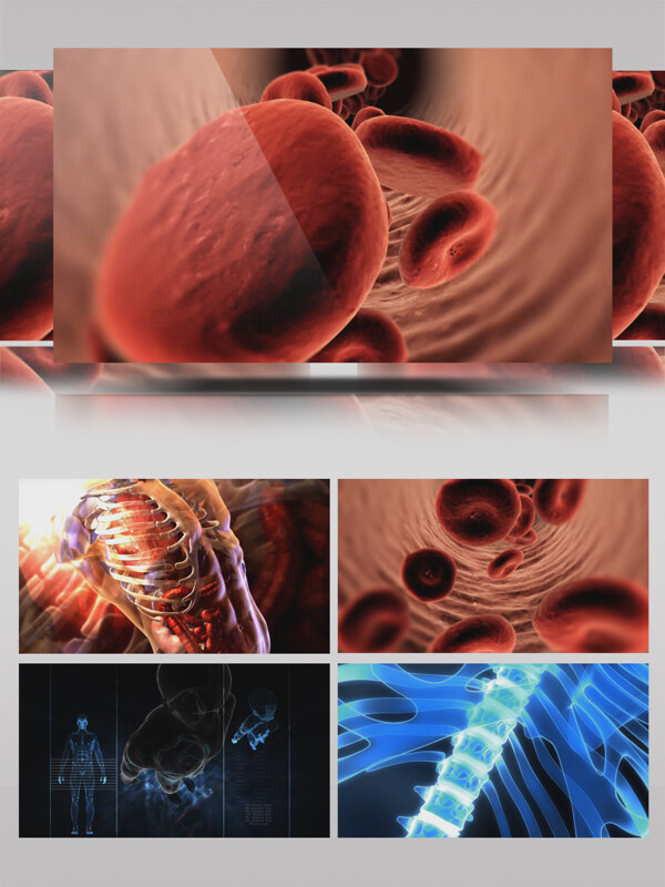 16组医疗科技实验类血液细胞人体骨骼