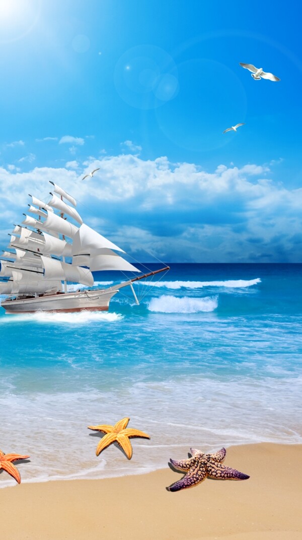 大海海边帆船沙滩海星海鸥蓝天
