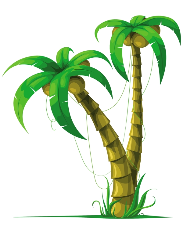 矢量茂密的椰子树图片