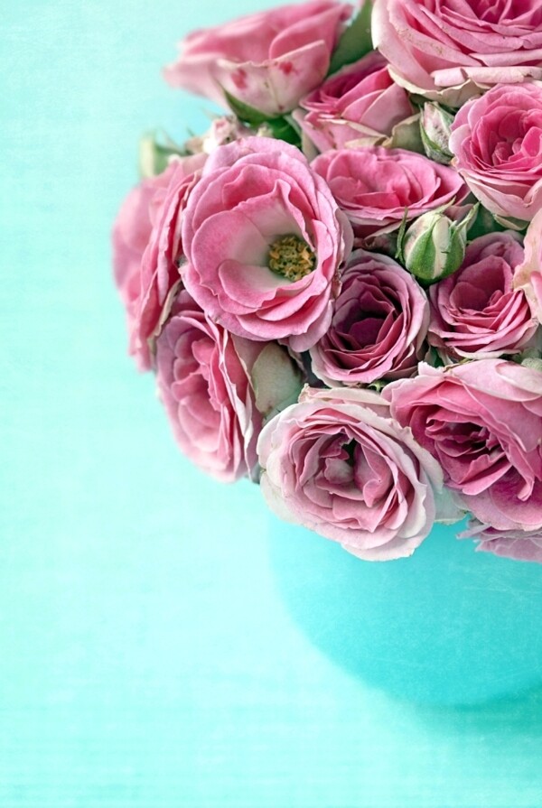 粉色玫瑰插花装饰画