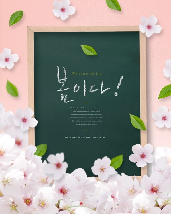 韩式唯美粉色花朵黑板海报模板设计