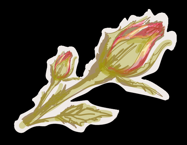 创意手绘花朵png元素