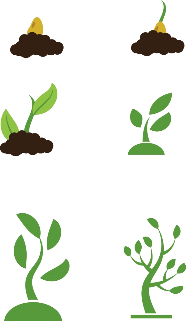 植物成长过程矢量元素