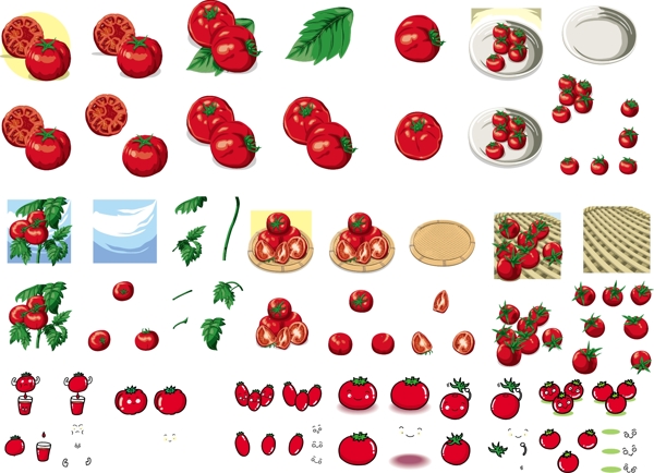 西红柿合集图片